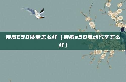 荣威E50质量怎么样(荣威e50电动汽车怎么样)