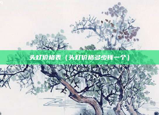 头灯价格表(头灯价格多少钱一个)