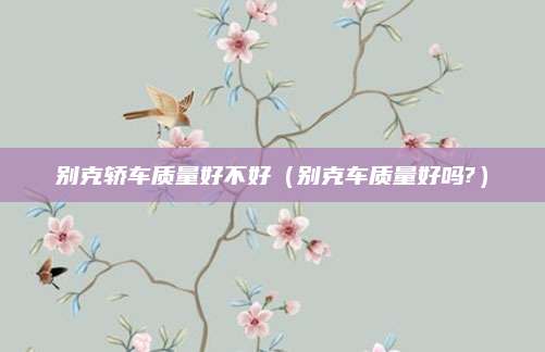 别克轿车质量好不好(别克车质量好吗?)