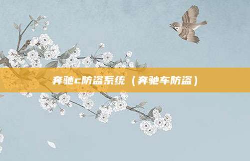 奔驰c防盗系统(奔驰车防盗)