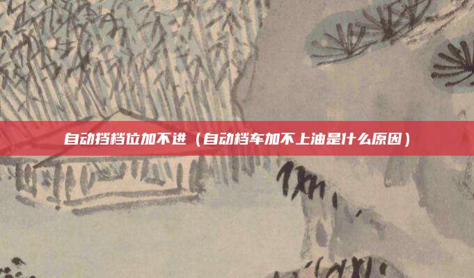 自动挡档位加不进(自动档车加不上油是什么原因)