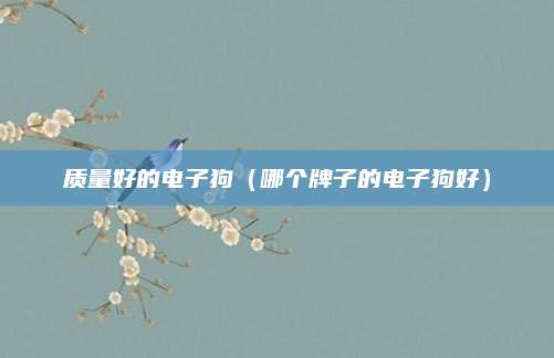 质量好的电子狗(哪个牌子的电子狗好)