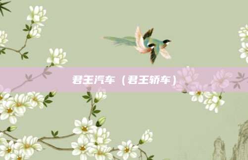 君王汽车(君王轿车)