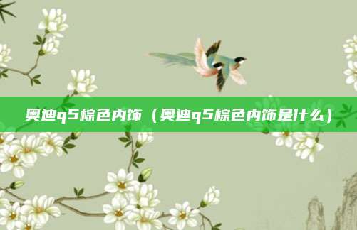 奥迪q5棕色内饰(奥迪q5棕色内饰是什么)