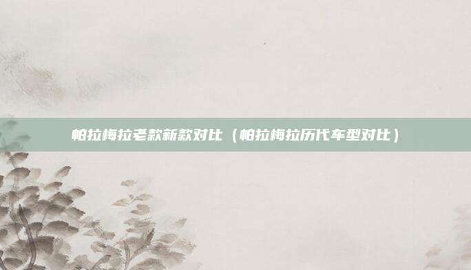 帕拉梅拉老款新款对比(帕拉梅拉历代车型对比)