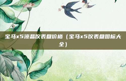 宝马x5液晶仪表盘价格(宝马x5仪表盘图标大全)