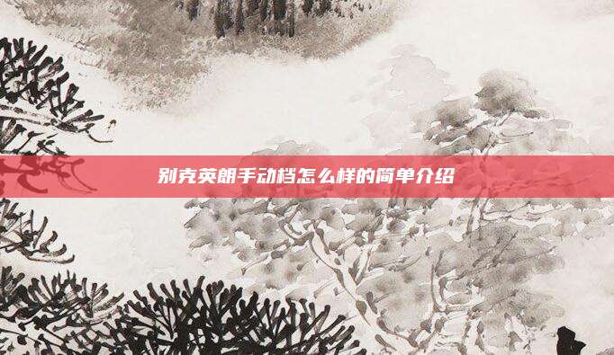 别克英朗手动档怎么样的简单介绍