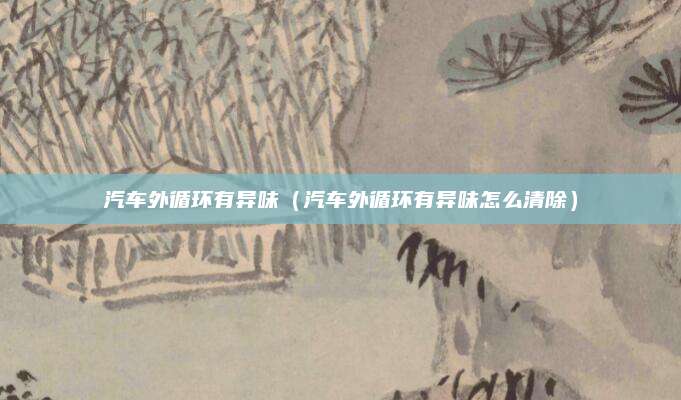 汽车外循环有异味(汽车外循环有异味怎么清除)