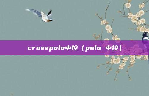 crosspolo中控（polo 中控）