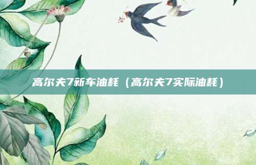 高尔夫7新车油耗（高尔夫7实际油耗）