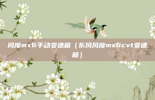 风度mx6手动变速箱(东风风度mx6cvt变速箱)