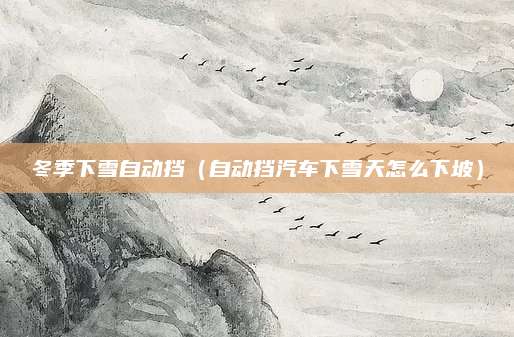 冬季下雪自动挡(自动挡汽车下雪天怎么下坡)