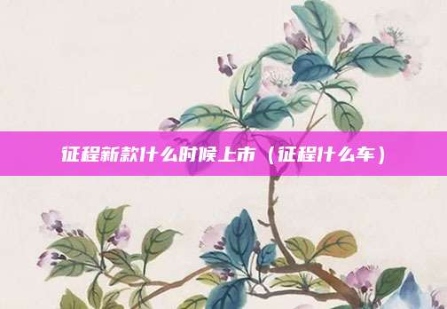 征程新款什么时候上市(征程什么车)