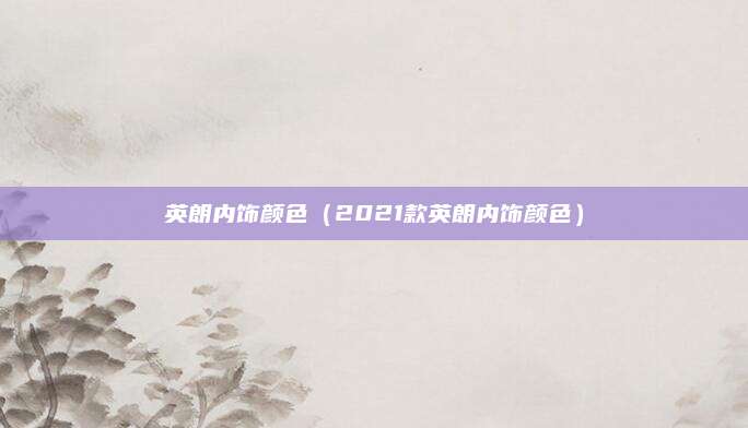 英朗内饰颜色(2021款英朗内饰颜色)
