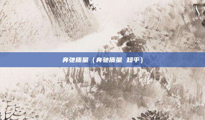 奔弛质量(奔驰质量 知乎)