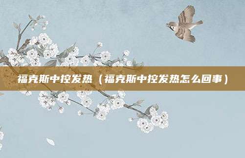 福克斯中控发热(福克斯中控发热怎么回事)