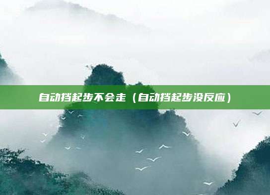 自动挡起步不会走(自动挡起步没反应)