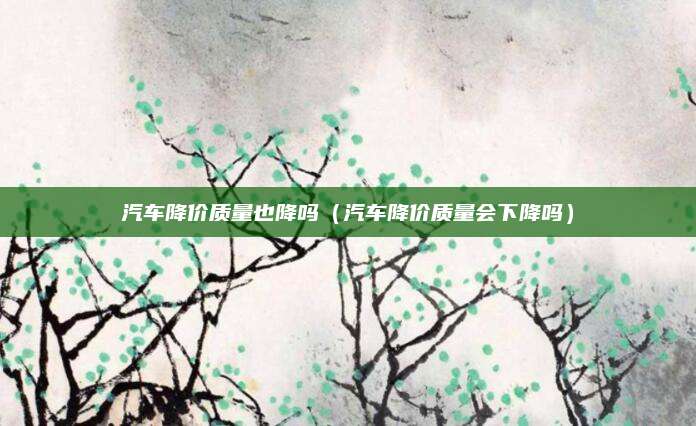 汽车降价质量也降吗(汽车降价质量会下降吗)