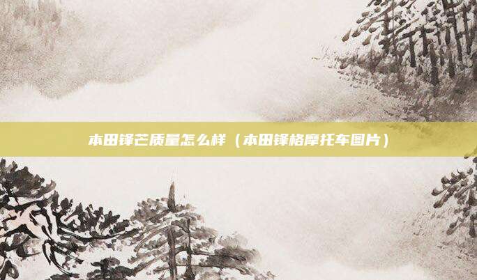 本田锋芒质量怎么样(本田锋格摩托车图片)
