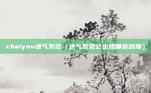 chaiyou进气系统(进气系统会出现哪些故障)