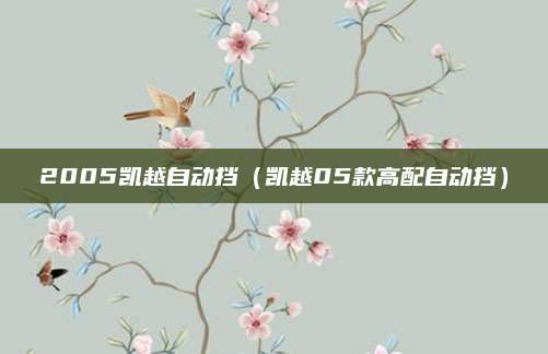 2005凯越自动挡(凯越05款高配自动挡)