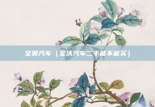 宝奥汽车(宝沃汽车二手能不能买)