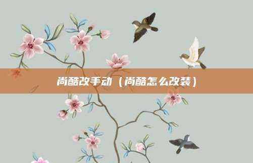 尚酷改手动(尚酷怎么改装)