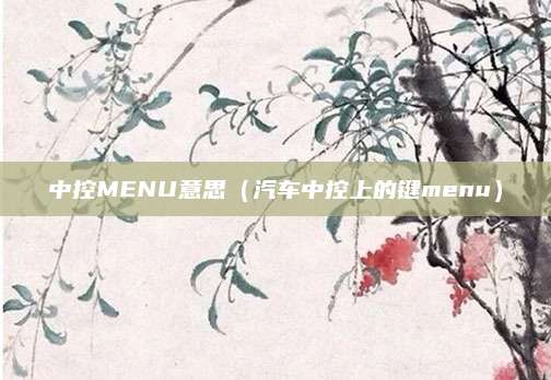 中控MENU意思(汽车中控上的键menu)