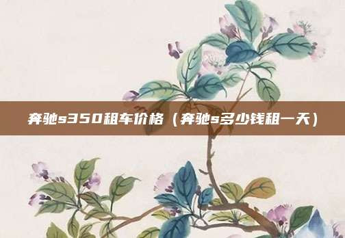 奔驰s350租车价格(奔驰s多少钱租一天)