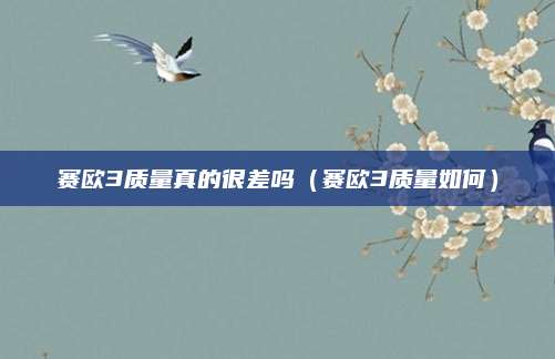 赛欧3质量真的很差吗(赛欧3质量如何)