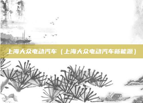 上海大众电动汽车(上海大众电动汽车新能源)