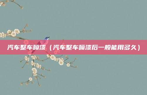 汽车整车喷漆(汽车整车喷漆后一般能用多久)
