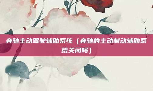 奔驰主动驾驶辅助系统(奔驰的主动制动辅助系统关闭吗)