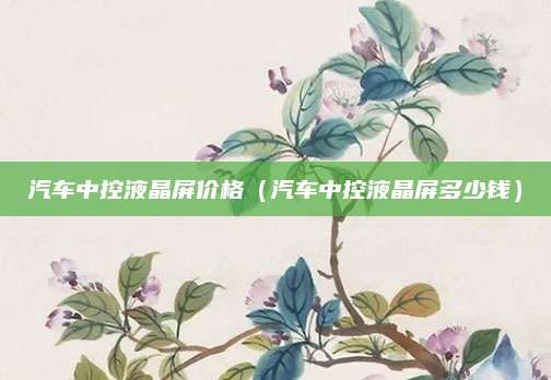 汽车中控液晶屏价格（汽车中控液晶屏多少钱）