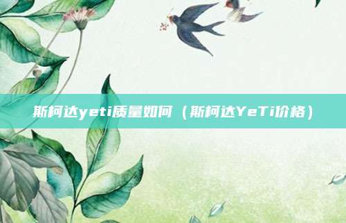 斯柯达yeti质量如何(斯柯达YeTi价格)