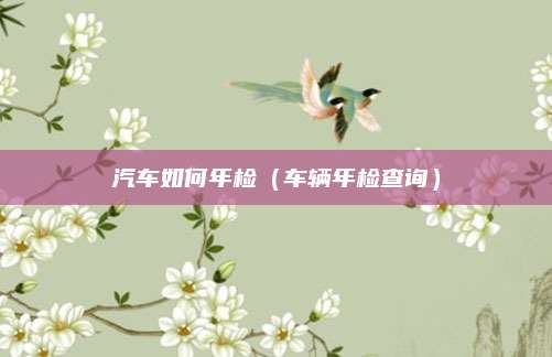 汽车如何年检(车辆年检查询)