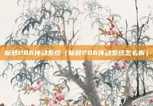 标致206传动系统(标致206传动系统怎么拆)