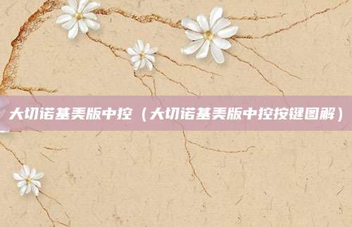 大切诺基美版中控(大切诺基美版中控按键图解)