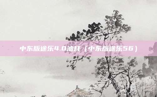 中东版途乐4.0油耗(中东版途乐56)