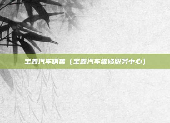 宝鑫汽车销售（宝鑫汽车维修服务中心）