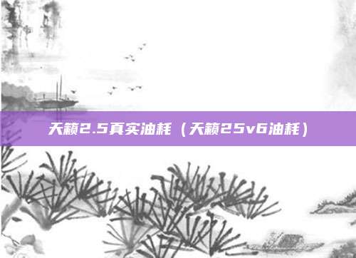 天籁2.5真实油耗（天籁25v6油耗）