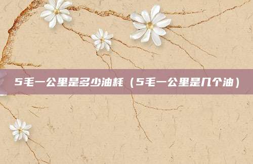 5毛一公里是多少油耗(5毛一公里是几个油)