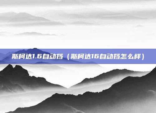 斯柯达1.6自动挡(斯柯达16自动挡怎么样)