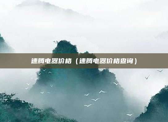 速腾电器价格(速腾电器价格查询)