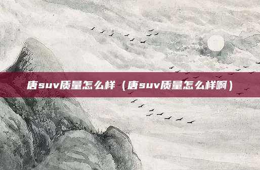 唐suv质量怎么样(唐suv质量怎么样啊)