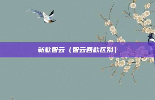 新款智云（智云各款区别）