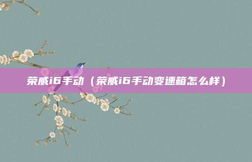 荣威i6手动(荣威i6手动变速箱怎么样)
