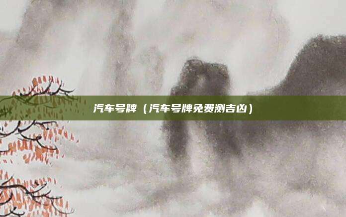 汽车号牌(汽车号牌免费测吉凶)