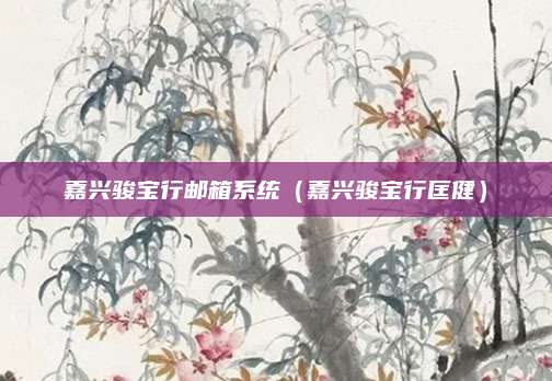 嘉兴骏宝行邮箱系统(嘉兴骏宝行匡健)