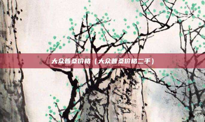 大众普桑价格(大众普桑价格二手)
